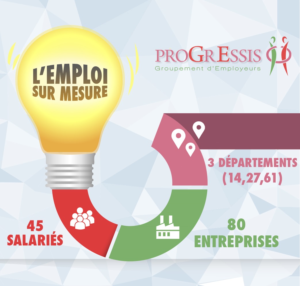 Infographie Progressis 2015